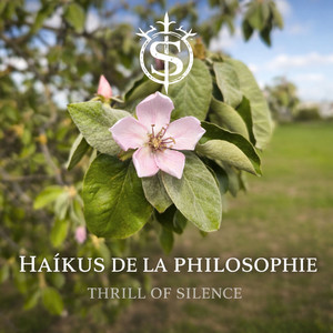 Haïkus de la philosophie
