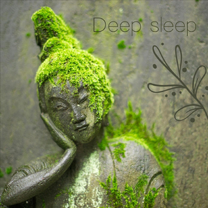 Deep Sleep
