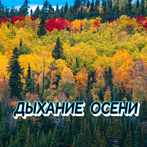 ДЫХАНИЕ ОСЕНИ