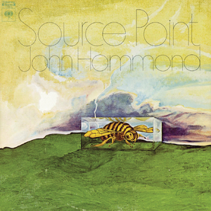 As The Years Go Passing By