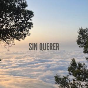 Sin Querer