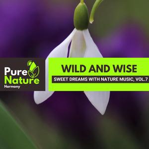 Relentless Rain Downpour