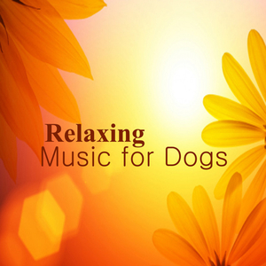 With One Look (From "Sunset Boulevard")