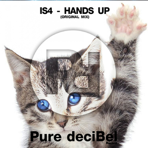 Hands Up (Original Mix)