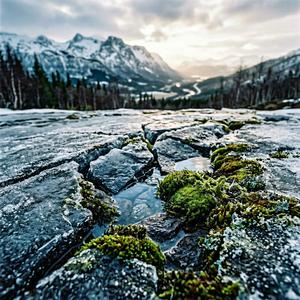 Thaw Breaks the Frozen Crown