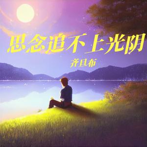 思念追不上光阴
