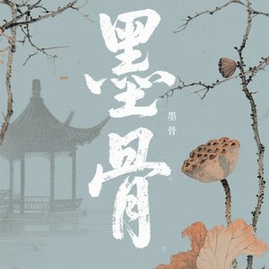 墨骨_66969518093037056_1762707540463.wav