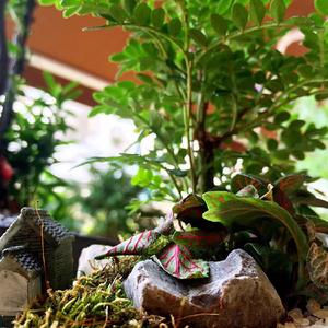 需要人陪（翻自 王力宏）