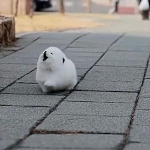 TOTORO (feat. BIMBO)