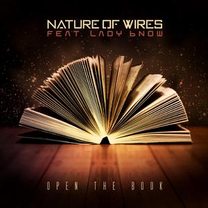 Cut Me Open (feat. Sarah B Lady Bnow) (Syntheads Remix)