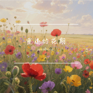 重逢的花期