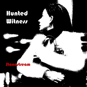 Hunted Witness