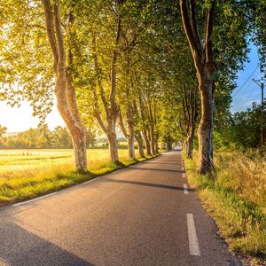 柔和的浪漫的晚餐时刻