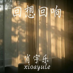 回想回响
