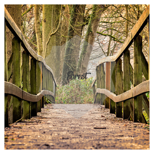 Waldgeraeusche für Kinder zum Entspannen