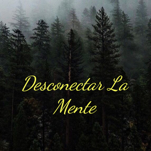 Desconectar La Mente