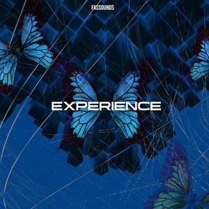 Experience