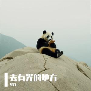 去有光的地方
