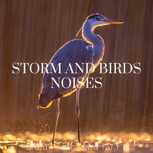 Heavy Storm with Birds