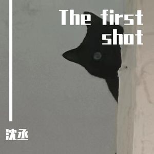 The first shot(Prod.Gr33nart Beats)