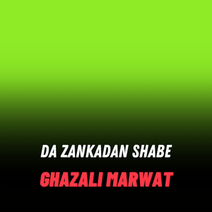 Da Zankadan Shabe