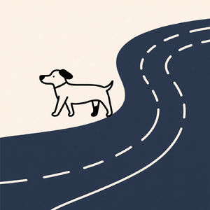 わんこの寄り道 (Live)