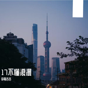 旷野间的雪花幻舞