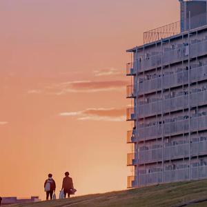 苦茶（心动版）