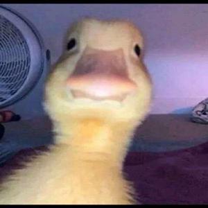 Oligopoly (feat. Bonesey & EJ Virgo)