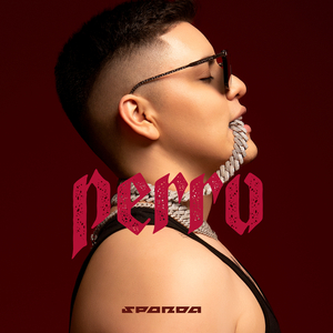 Perro