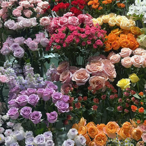 回忆录（Prod By Genuine 木子山）