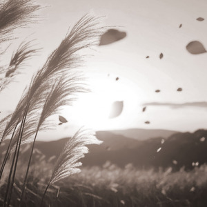 ゆらめく遠い約束