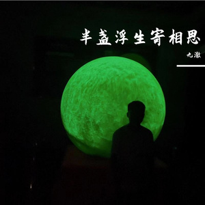 半盏浮生寄相思