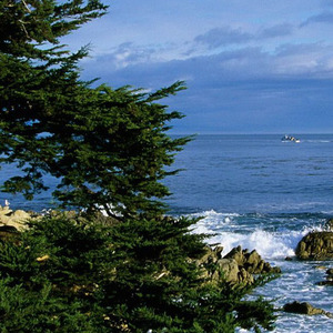 我的精神状态belike