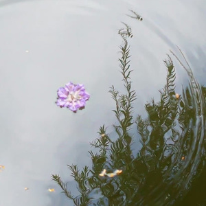 万重山（prod by dolbeatz）