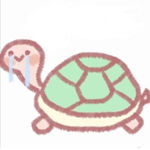 杀死那个石家庄人（公路之歌）Cover：万能青年旅社