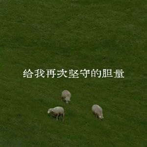 给我再次坚守的胆量