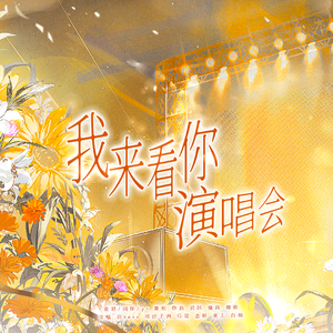 我来看你演唱会