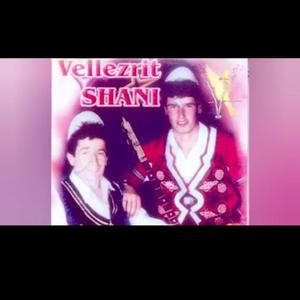 Vellezrit Shani (Vjehrra nuses)