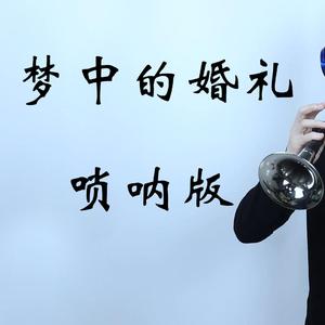 梦中的婚礼（唢呐版）