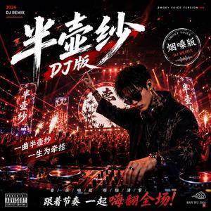 半壶纱(DJ烟嗓)