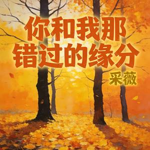 你和我那错过的缘分