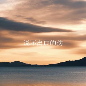 说不出口的伤