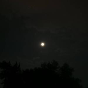 给我一个理由忘记