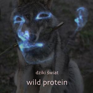 Dziki świat