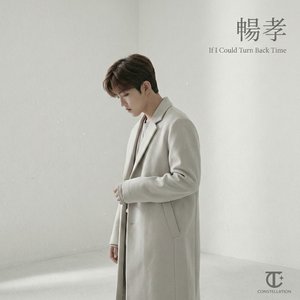 願以餘生換往昔 (If I Could Turn Back Time)