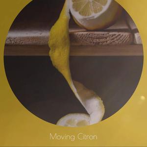 Flawlessly Blemished