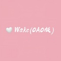 Wake (OAO版)