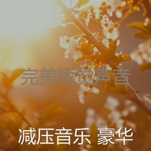 抚慰的冷静的回忆