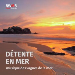 Puissance des vagues